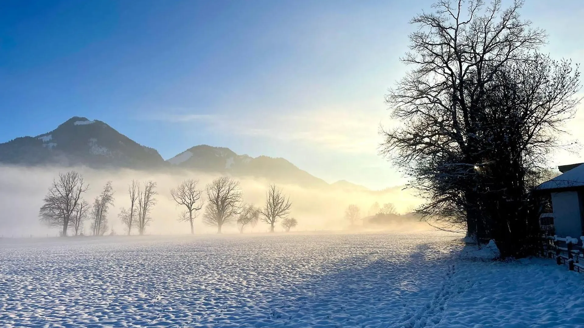 Seelenbaumlerin Schliersee 0*,  Germany