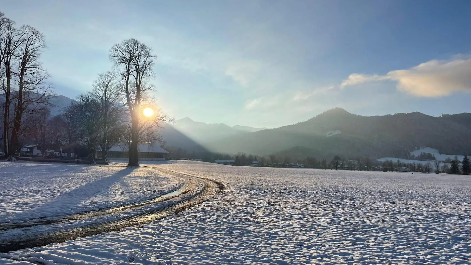 Seelenbaumlerin Schliersee